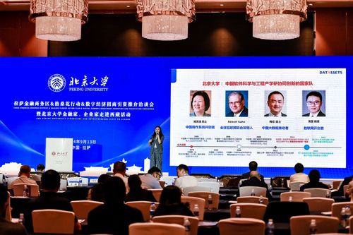 數字經濟新引擎 2024拉薩金融商務區格?；ㄐ袆诱猩桃Y洽談會啟航